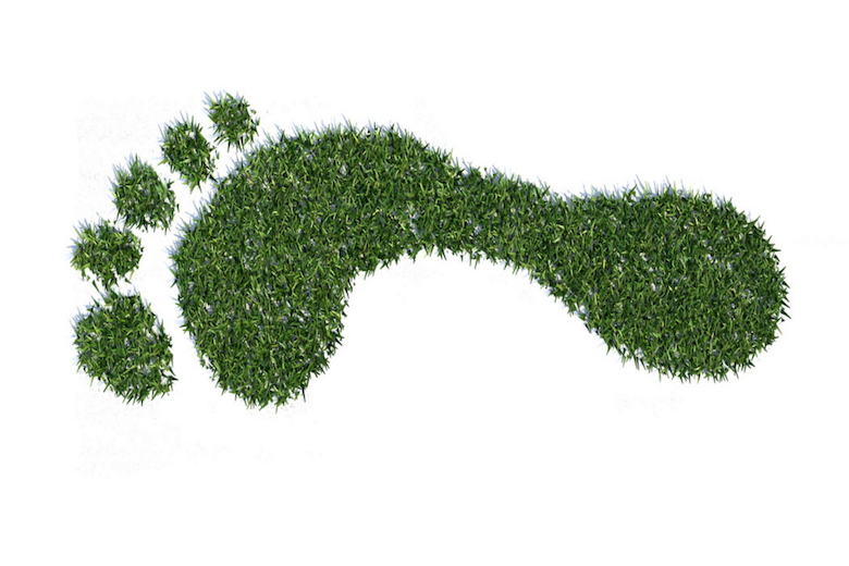 Grass Footprint Chris Potter